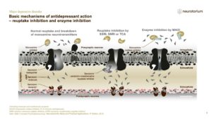 Basic mechanisms of antidepressant action – reuptake inhibition and enzyme inhibition
